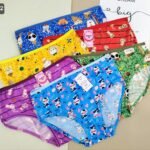 اندر حريمي فايبر سايز/ جمله 12 قطعه