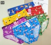 اندر حريمي فايبر سايز/ جمله 12 قطعه